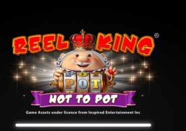 ملخص لعبة Reel King: مراجعة لعبة Hot to Pot
