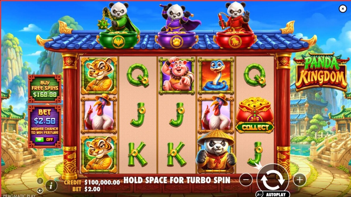 Arab Night Casino Kingdom Panda مراجعة لعبة سلوت مملكة الباندا