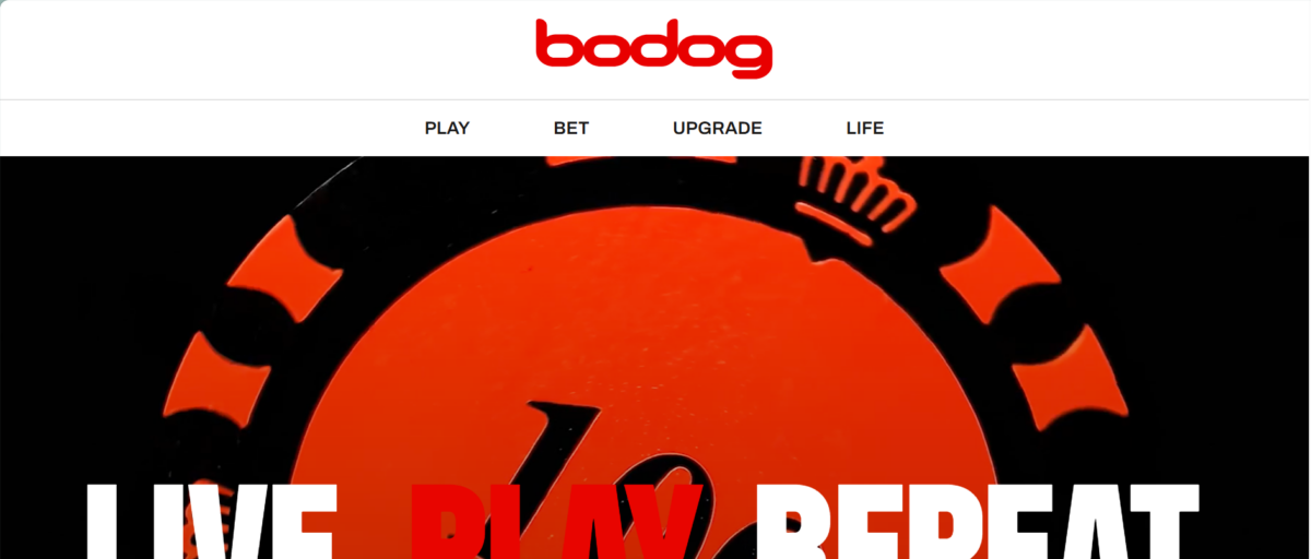 Arab Night Casino عودة Bodog كعلامة تجارية إعلامية مع مركز محتوى مميز بعد أشهر من انسحابه من عالم القمار عودة Bodog كعلامة تجارية إعلامية مع مركز محتوى مميز بعد أشهر من انسحابه من عالم القمار