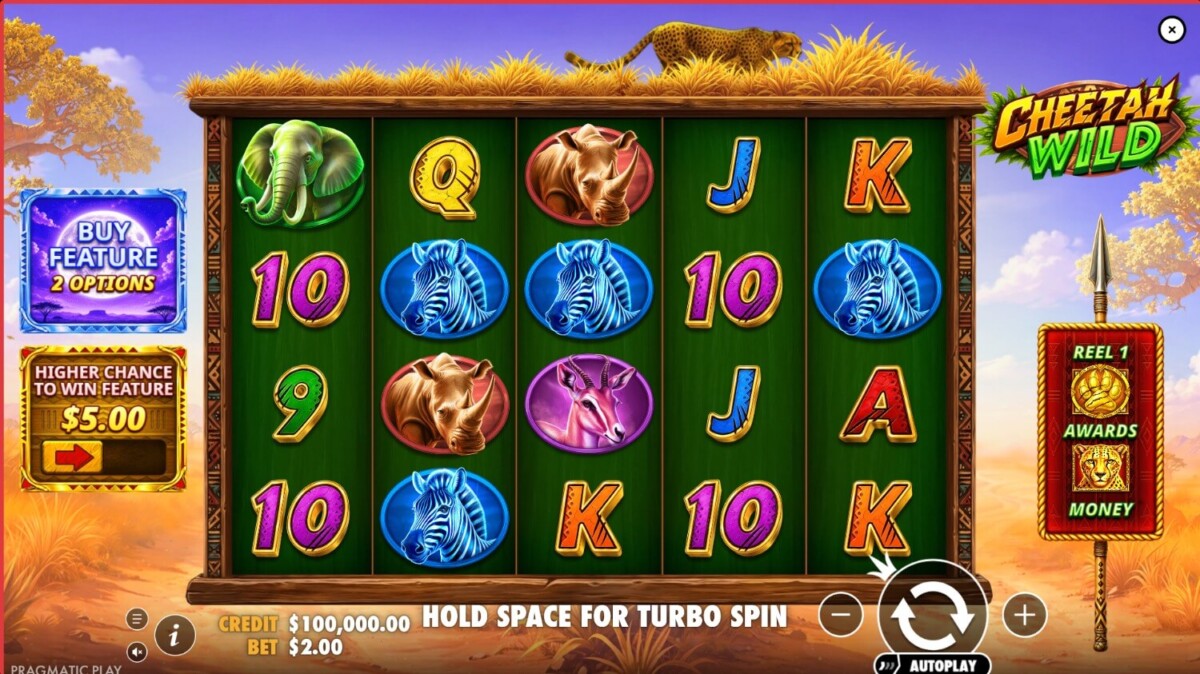 Arab Night Casino مراجعة لعبة السلوت Cheetah Wild Cheetah Wild