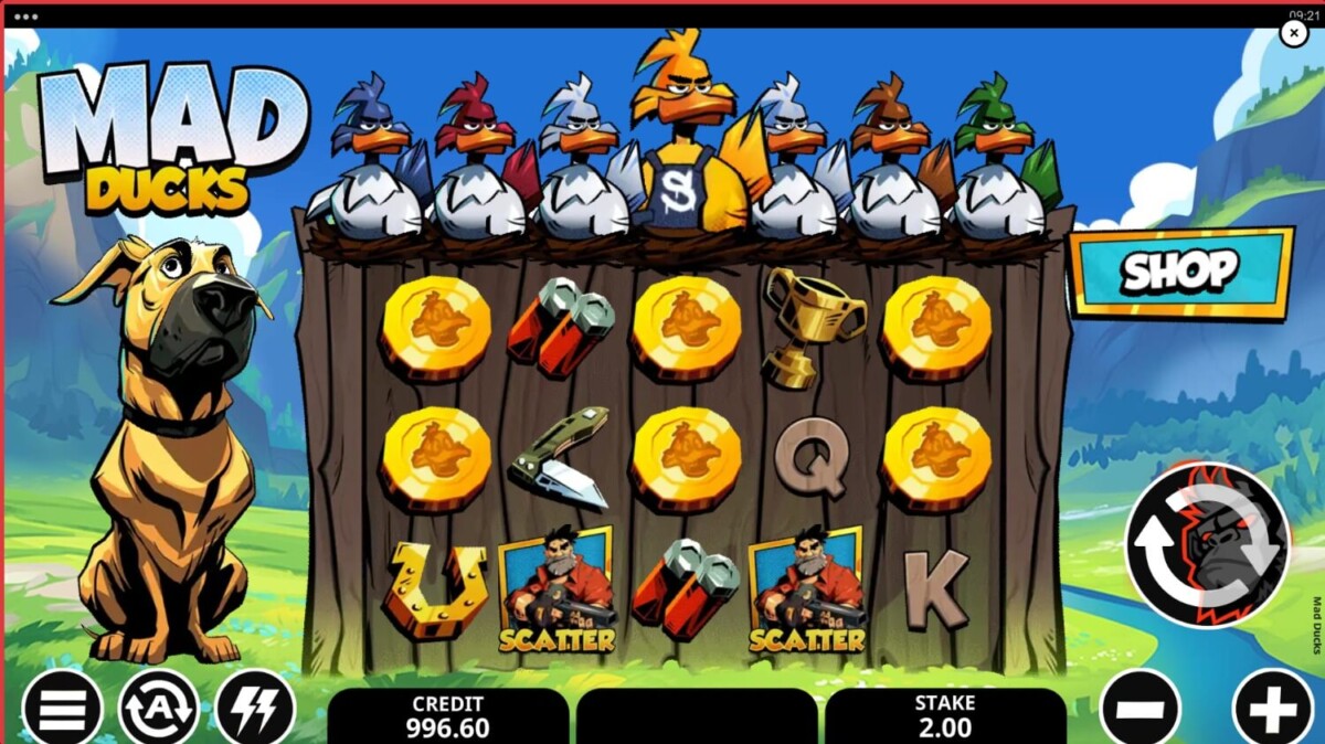 Arab Night Casino عرض تجريبي للعبة ماد داكس سلوت ماد داكس