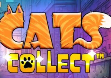 مراجعة لعبة سكاتCollect Slot