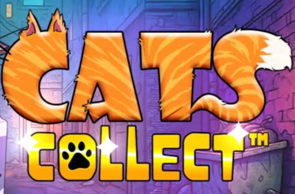 مراجعة لعبة سكاتCollect Slot
