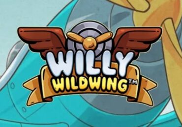 مراجعة لعبة سلوت Willy Wildwing